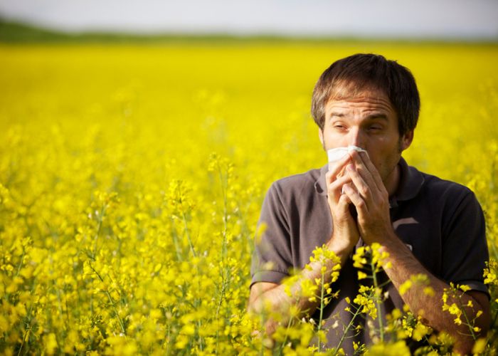 Sezonske alergije i kako ih riješiti