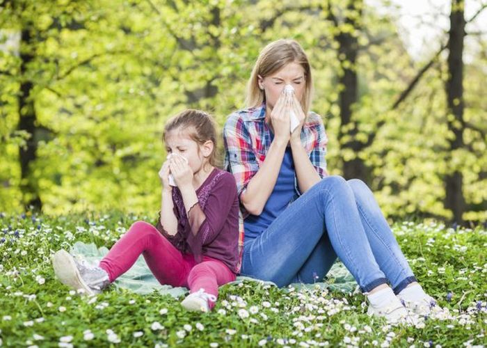 Alergijski rinitis – najčešća alergijska bolest u svijetu